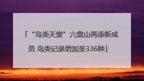 “鸟类天堂”六盘山再添新成员 鸟类记录增加至336种