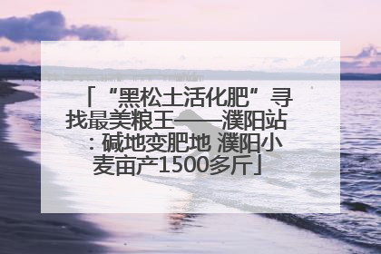“黑松土活化肥”寻找最美粮王——濮阳站：碱地变肥地 濮阳小麦亩产1500多斤