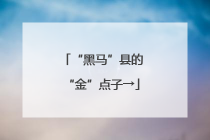 “黑马”县的“金”点子→