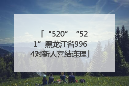 “520”“521”黑龙江省9964对新人喜结连理