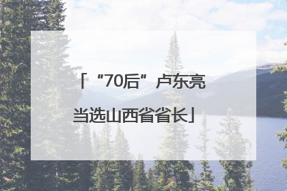 “70后”卢东亮当选山西省省长