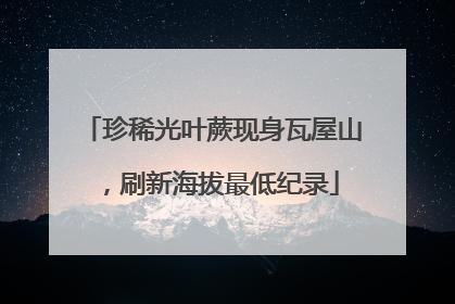 珍稀光叶蕨现身瓦屋山，刷新海拔最低纪录
