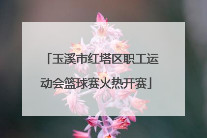 玉溪市红塔区职工运动会篮球赛火热开赛