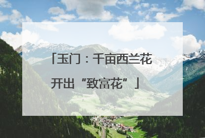 玉门：千亩西兰花开出“致富花”