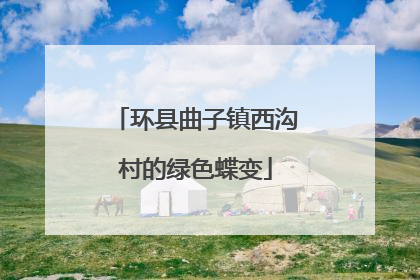 环县曲子镇西沟村的绿色蝶变
