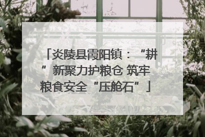 炎陵县霞阳镇：“耕”新聚力护粮仓 筑牢粮食安全“压舱石”