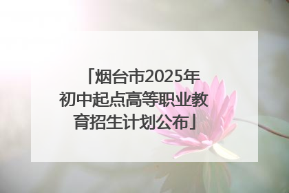 烟台市2025年初中起点高等职业教育招生计划公布