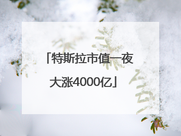 特斯拉市值一夜大涨4000亿