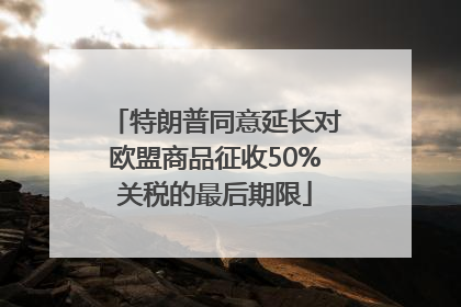 特朗普同意延长对欧盟商品征收50%关税的最后期限
