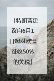 特朗普建议自6月1日起对欧盟征收50%的关税