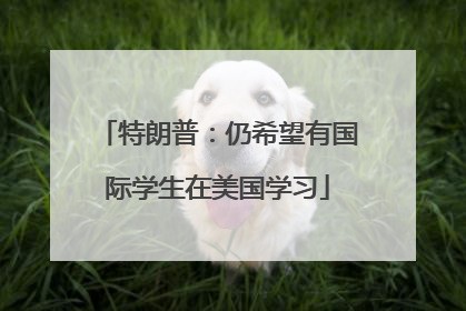 特朗普：仍希望有国际学生在美国学习