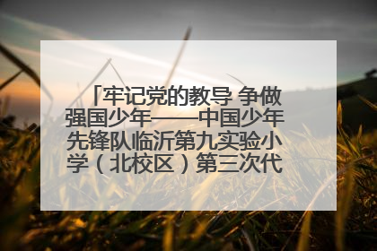 牢记党的教导 争做强国少年——中国少年先锋队临沂第九实验小学（北校区）第三次代表大会胜利召开