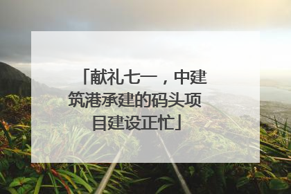 献礼七一，中建筑港承建的码头项目建设正忙