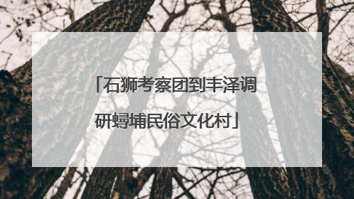 石狮考察团到丰泽调研蟳埔民俗文化村