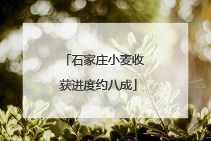 石家庄小麦收获进度约八成