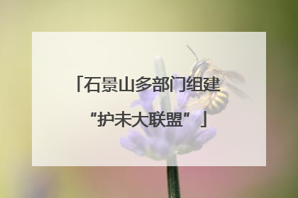 石景山多部门组建“护未大联盟”