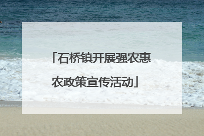 石桥镇开展强农惠农政策宣传活动