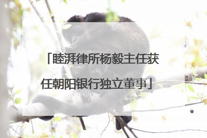 睦湃律所杨毅主任获任朝阳银行独立董事