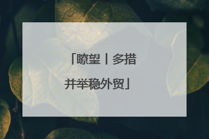 瞭望丨多措并举稳外贸