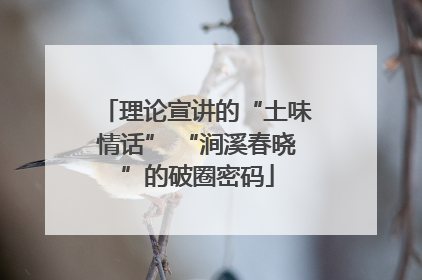 理论宣讲的“土味情话” “涧溪春晓”的破圈密码