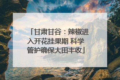 甘肃甘谷：辣椒进入开花挂果期 科学管护确保大田丰收