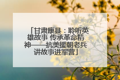 甘肃康县：聆听英雄故事 传承革命精神——抗美援朝老兵讲故事进军营