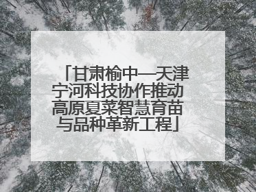 甘肃榆中—天津宁河科技协作推动高原夏菜智慧育苗与品种革新工程