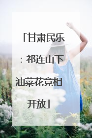 甘肃民乐：祁连山下油菜花竞相开放