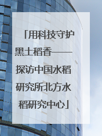 用科技守护黑土稻香——探访中国水稻研究所北方水稻研究中心