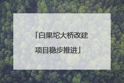 白果坨大桥改建项目稳步推进