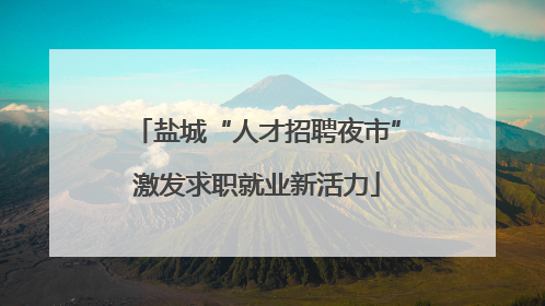 盐城“人才招聘夜市”激发求职就业新活力