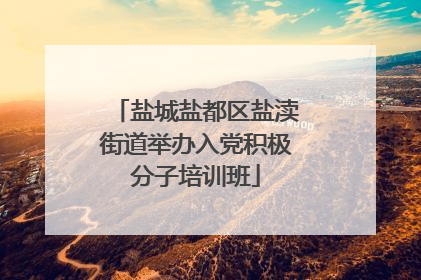 盐城盐都区盐渎街道举办入党积极分子培训班