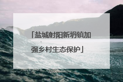 盐城射阳新坍镇加强乡村生态保护
