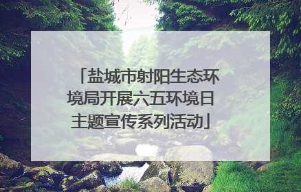 盐城市射阳生态环境局开展六五环境日主题宣传系列活动