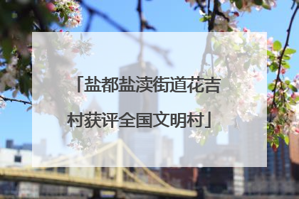 盐都盐渎街道花吉村获评全国文明村