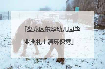 盘龙区东华幼儿园毕业典礼上演环保秀