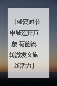 盛夏时节申城莲开万象 荷韵流转激发文旅新活力