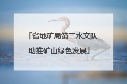 省地矿局第二水文队助推矿山绿色发展