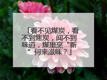 看不见煤炭，看不到焦炭，闻不到味道，煤里烹“新”何来滋味？