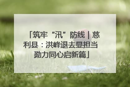 筑牢“汛”防线｜慈利县：洪峰退去显担当 勠力同心启新篇