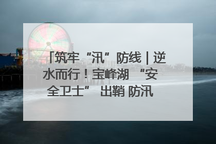 筑牢“汛”防线｜逆水而行！宝峰湖 “安全卫士” 出鞘 防汛应急再添硬核力量