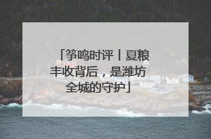 筝鸣时评丨夏粮丰收背后，是潍坊全城的守护
