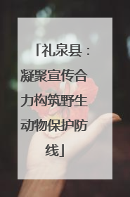 礼泉县：凝聚宣传合力构筑野生动物保护防线