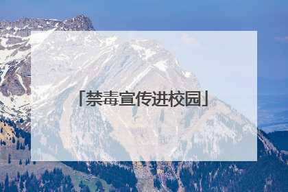 禁毒宣传进校园