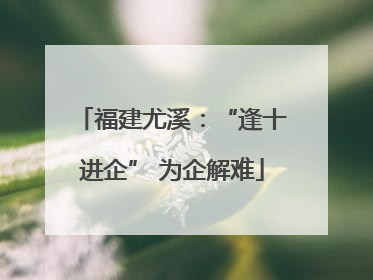 福建尤溪：“逢十进企” 为企解难