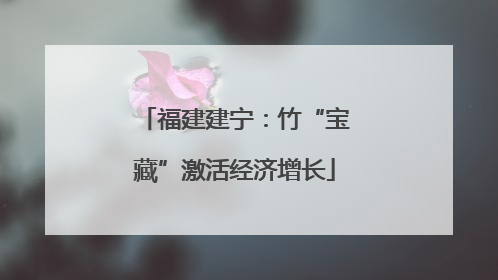 福建建宁：竹“宝藏”激活经济增长