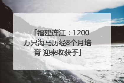 福建连江：1200万只海马历经8个月培育 迎来收获季