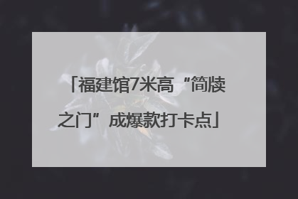 福建馆7米高“简牍之门”成爆款打卡点