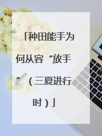 种田能手为何从容“放手”（三夏进行时）