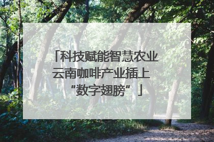 科技赋能智慧农业 云南咖啡产业插上“数字翅膀”